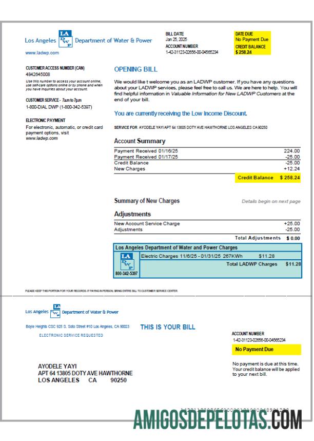 imprimível Modelo de fatura de serviços públicos DWP dos EUA em formatos Word e PDF, versão 2
